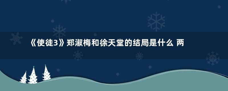 《使徒3》郑淑梅和徐天堂的结局是什么 两人最后在一起了啊